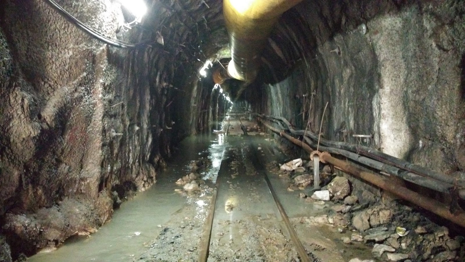 फाइल तस्वीर ।