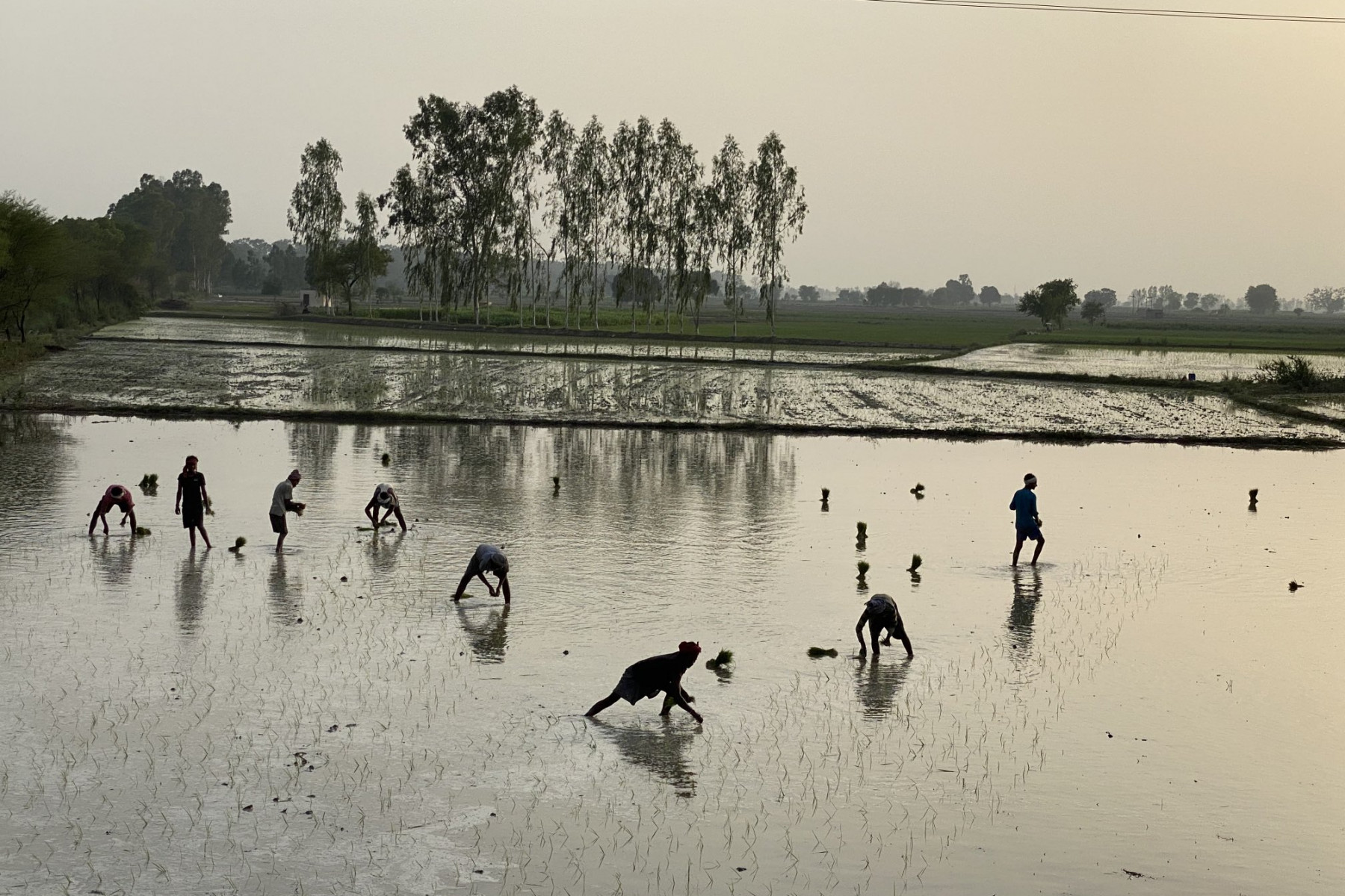 तस्वीर: शिवम् (प्रतिकात्मक)