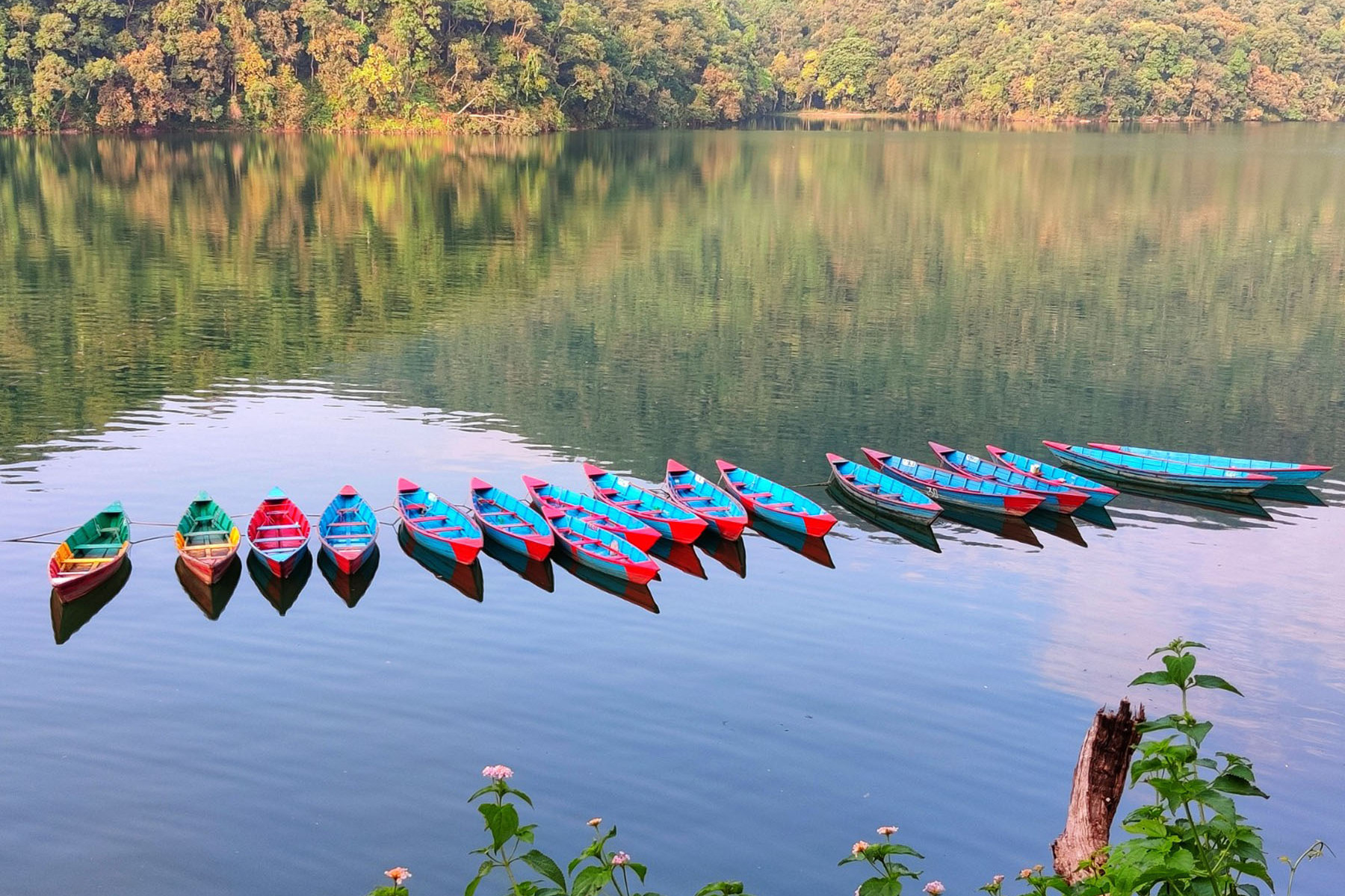 पर्यटकीय नगरी पोखरामा अवस्थित फेवातालमा निषेधाज्ञाका कारण हाल सञ्चालन नभएका डुङ्गा । तस्वीरः राधिका कँडेल, रासस