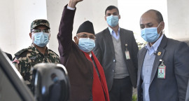 pm oli