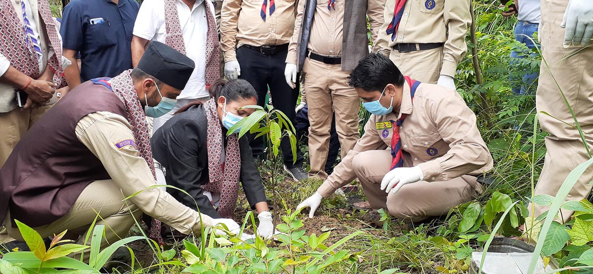 ‘बिरुवा रोप्ने मात्र नभई संरक्षणमा ध्यान दिऔँ’