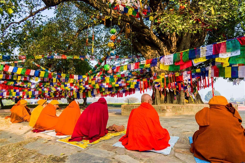 लुम्बिनीस्थित मायादेवी मन्दिर अगाडिको रुखमुनि भिक्षुहरु ।