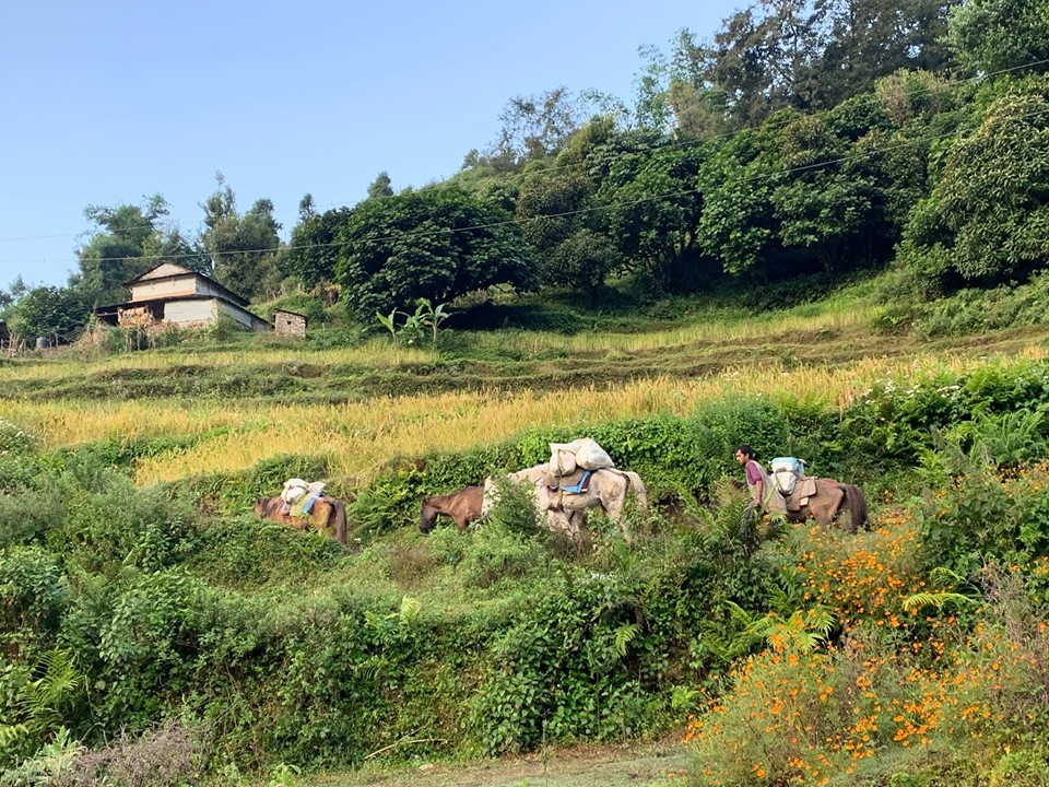 सिदिङको सुन्दरता