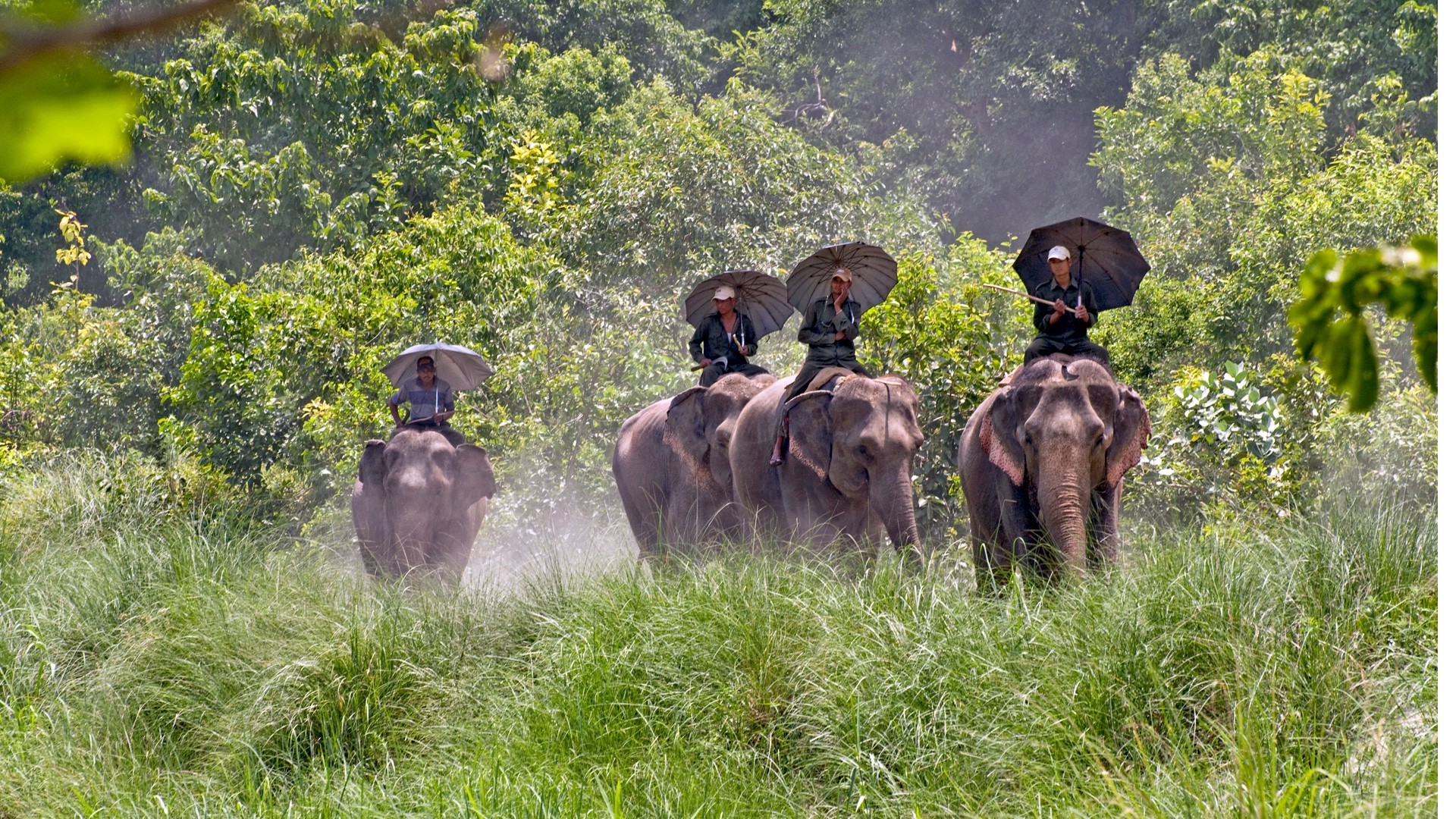 Nepal on Forbes’ 10 bucket list trips for the next decade