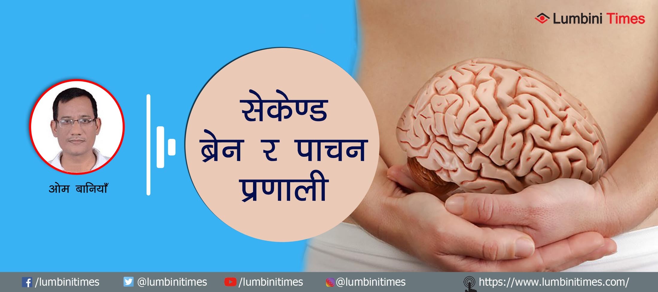 सेकेण्ड ब्रेन र पाचन प्रणाली