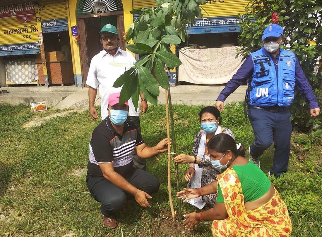 तिलोत्तमामा थप एक हजार स्टोनियाका बिरुवा रोपिए