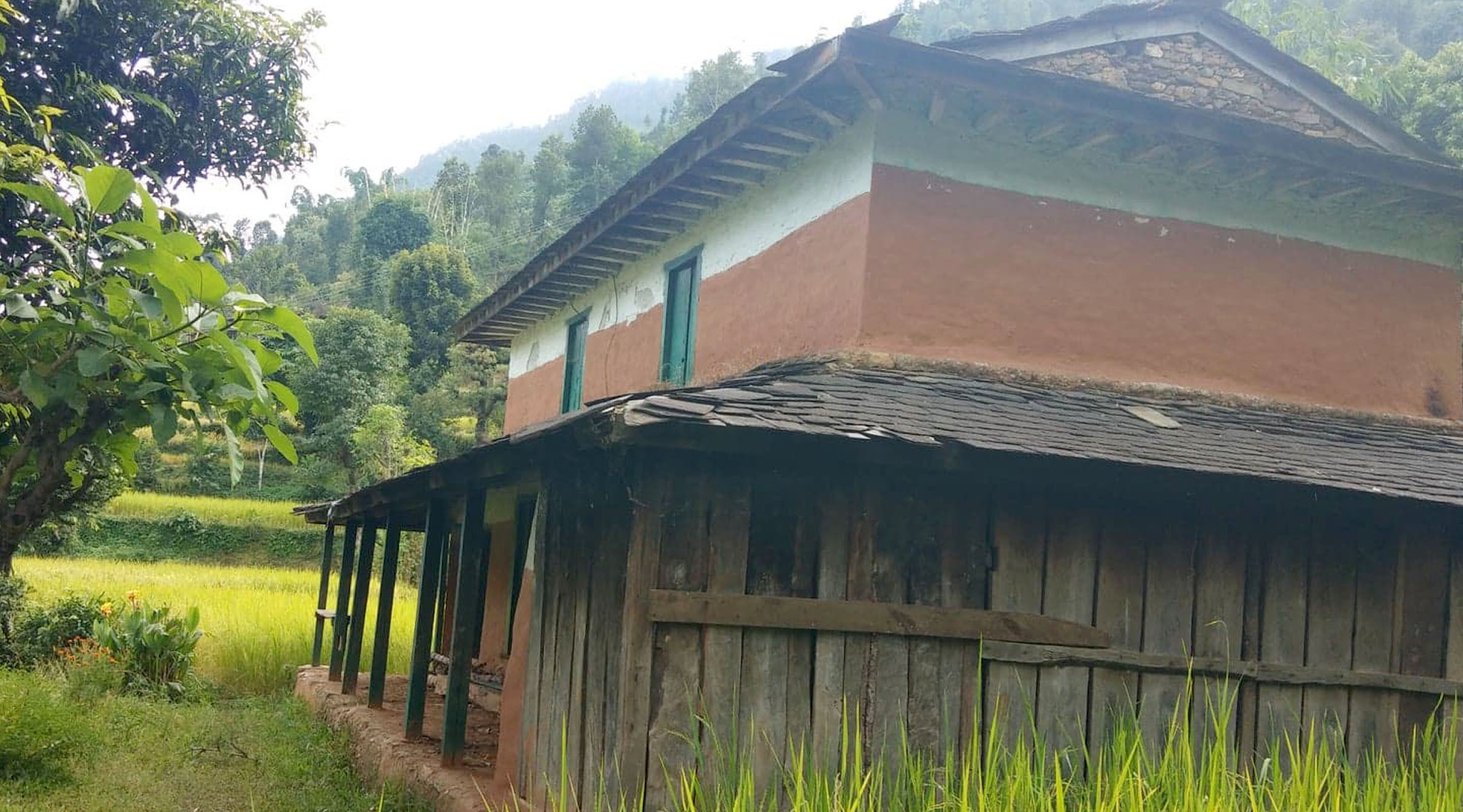 गुल्मीको मुसिकोट नगरपालिका १ अरेवामा खाली रहेको घर । घरधनीले छाडेर शहर पसेपछि यो घर अलपत्र छ । तस्वीर : अमृत गिरी/लुम्बिनी टाइम्स