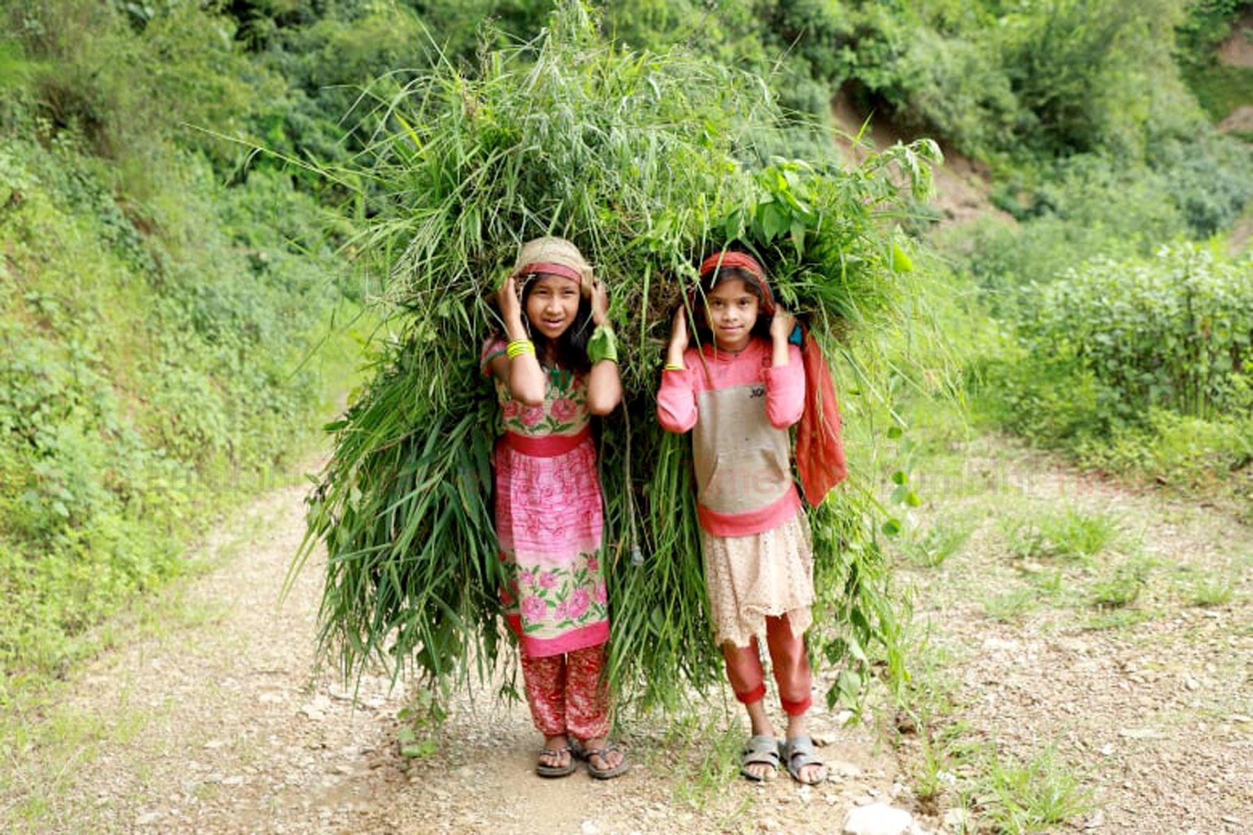 हाम्रो स्कुल कहिले खुल्छ ?