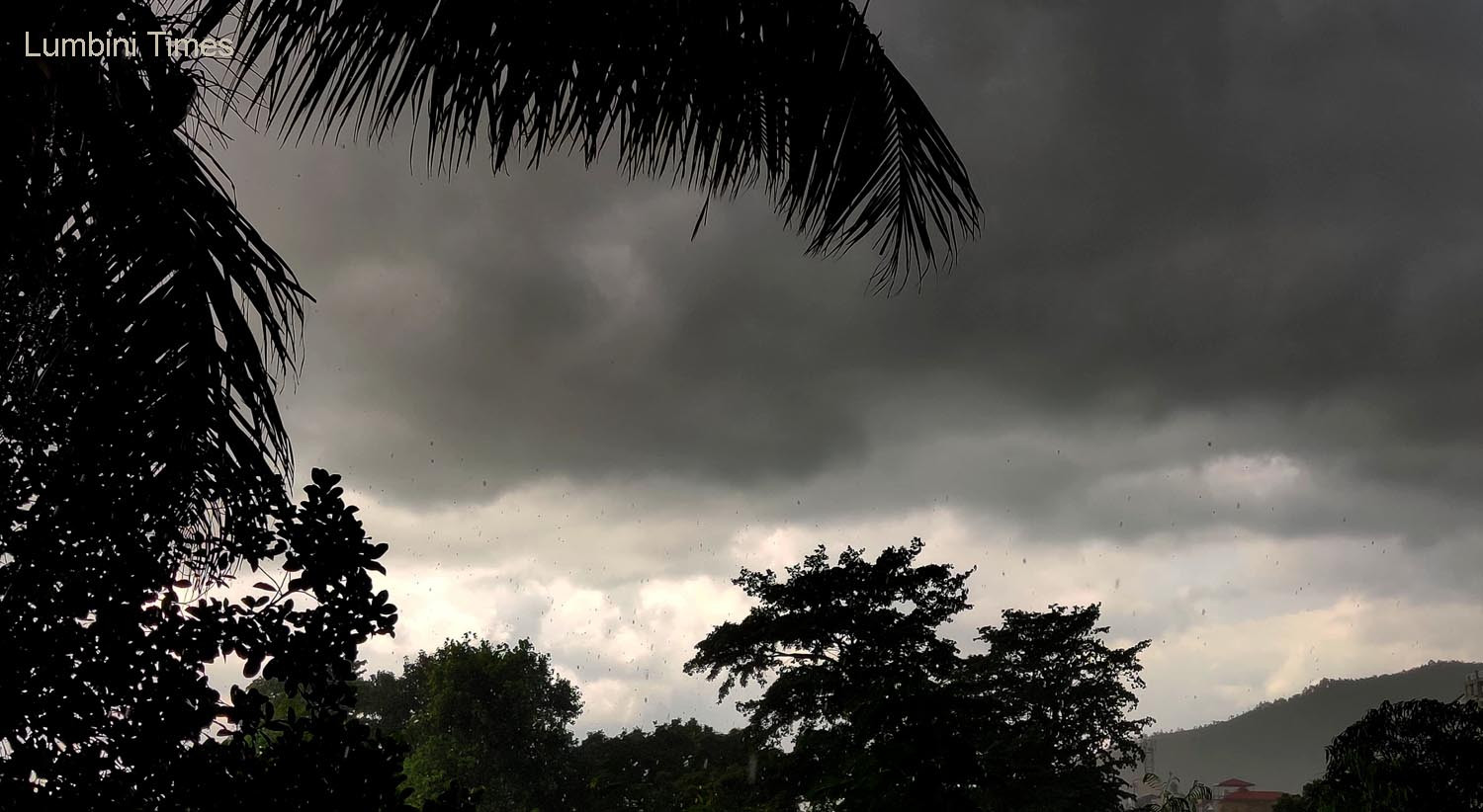 Meteorological Forecasting Division issues alert