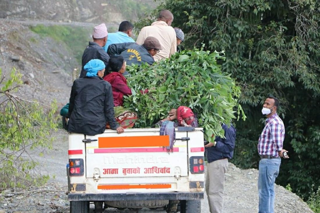 रेसुंगामा वन्यजन्तु शिकार र घाँस दाउरा गर्ने क्रम बढ्दो