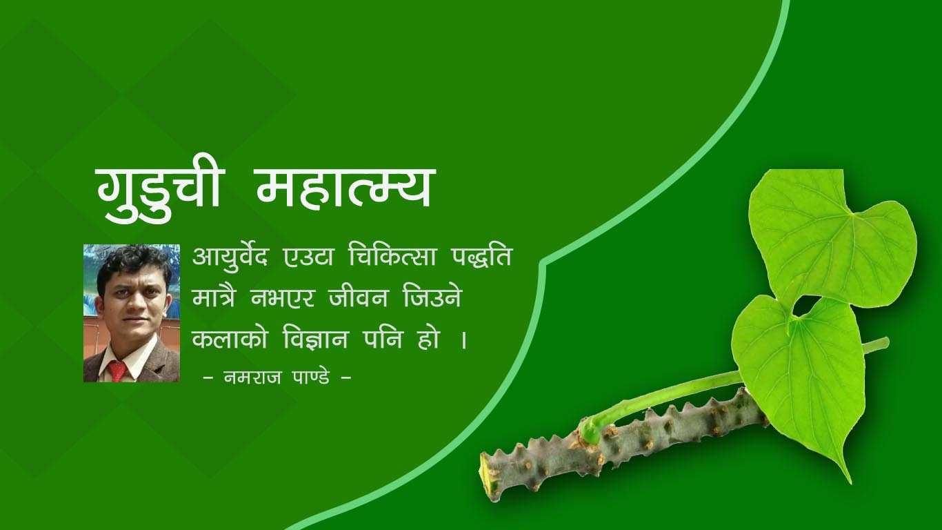 गुडुची महात्म्य !