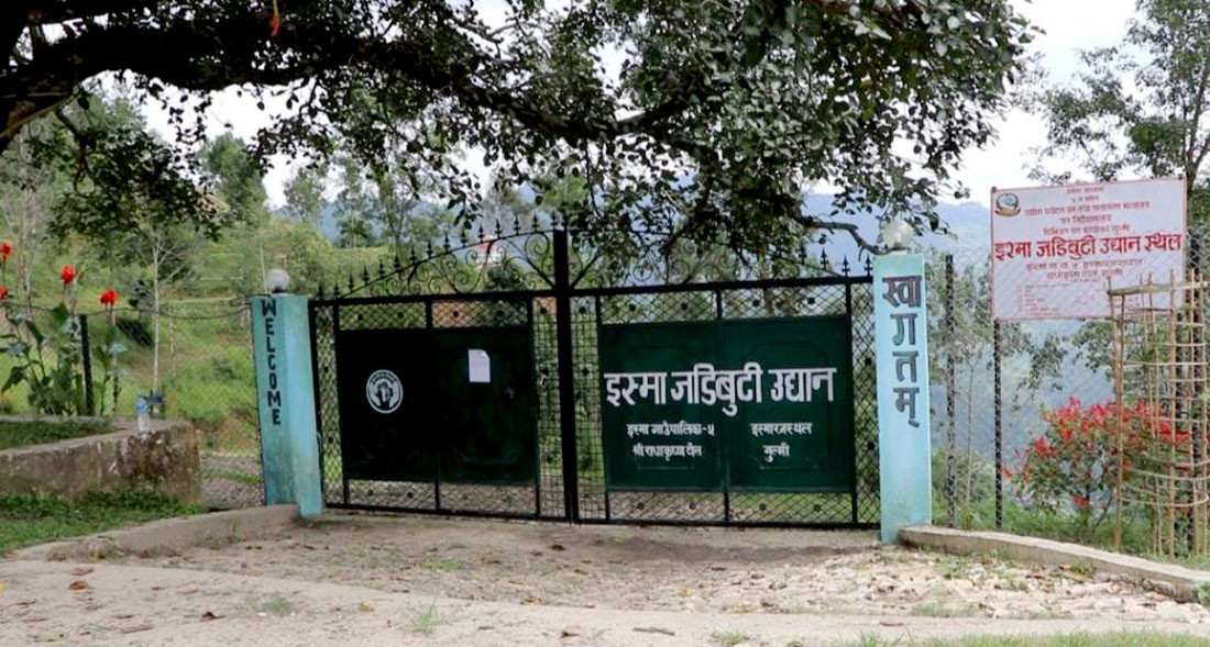 प्रदेश ५ कै पहिलो जडिबुटी उद्यान, स्थानीयमा आशा: बजेट नआउँदा निराशा