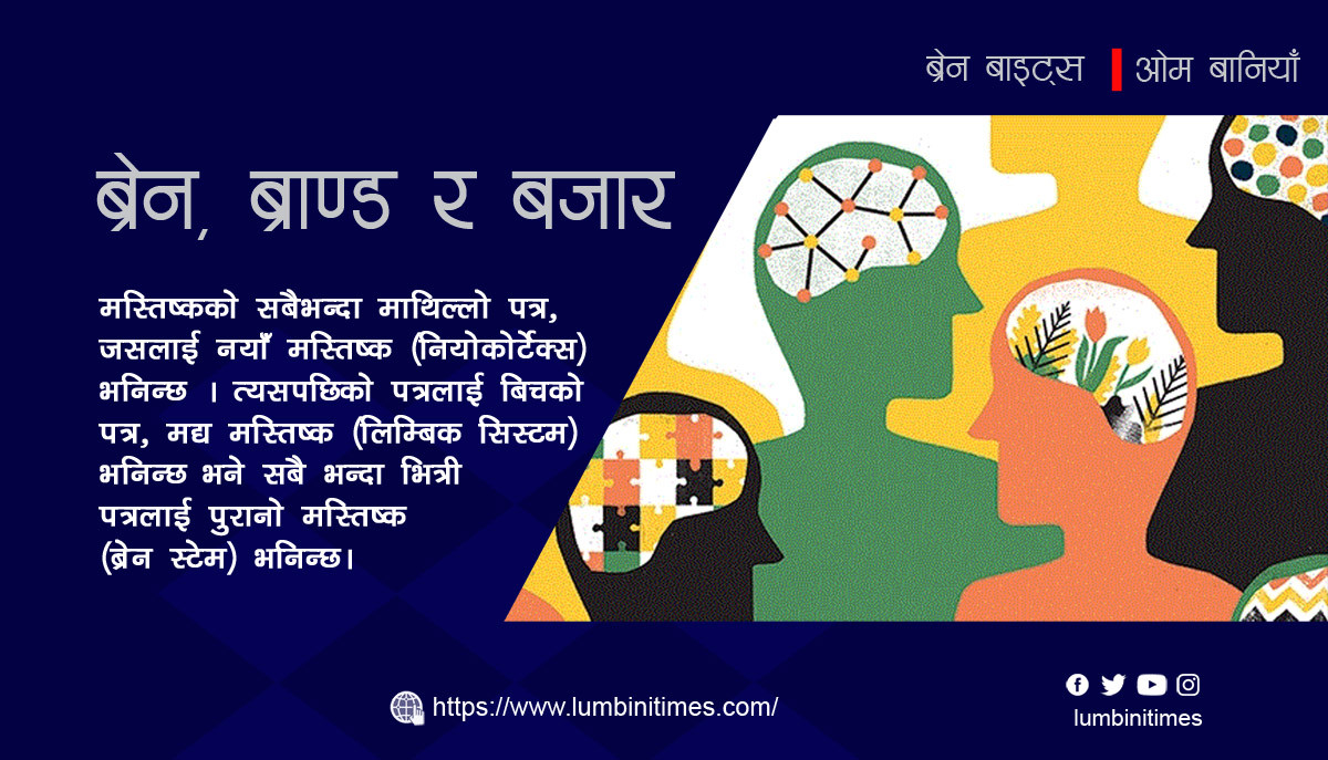 ब्रेन, ब्राण्ड र बजार