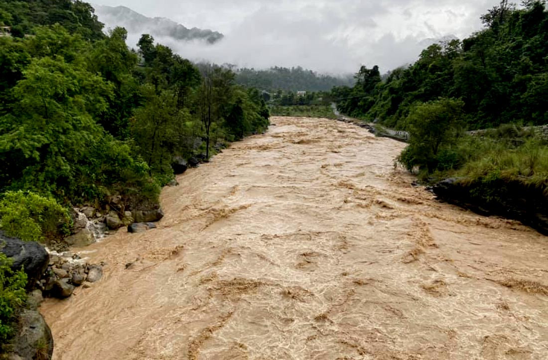 बुटवलमा बाढीले बाख्रा र कुखुरा बगायो