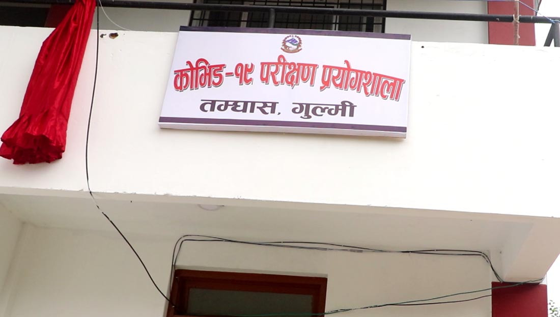 गुल्मीबाट कोरोना परिक्षण सुरु, शुरुकै परीक्षणमा स्वास्थ्यकर्मीमा संक्रमण पुष्टि