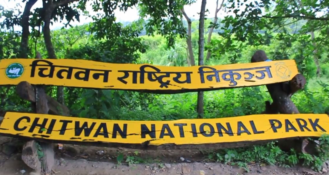 14 people killed in wildlife attack in CNP