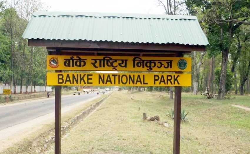 पर्यटन प्रवर्द्धन अभियानमा बाँके निकुञ्ज