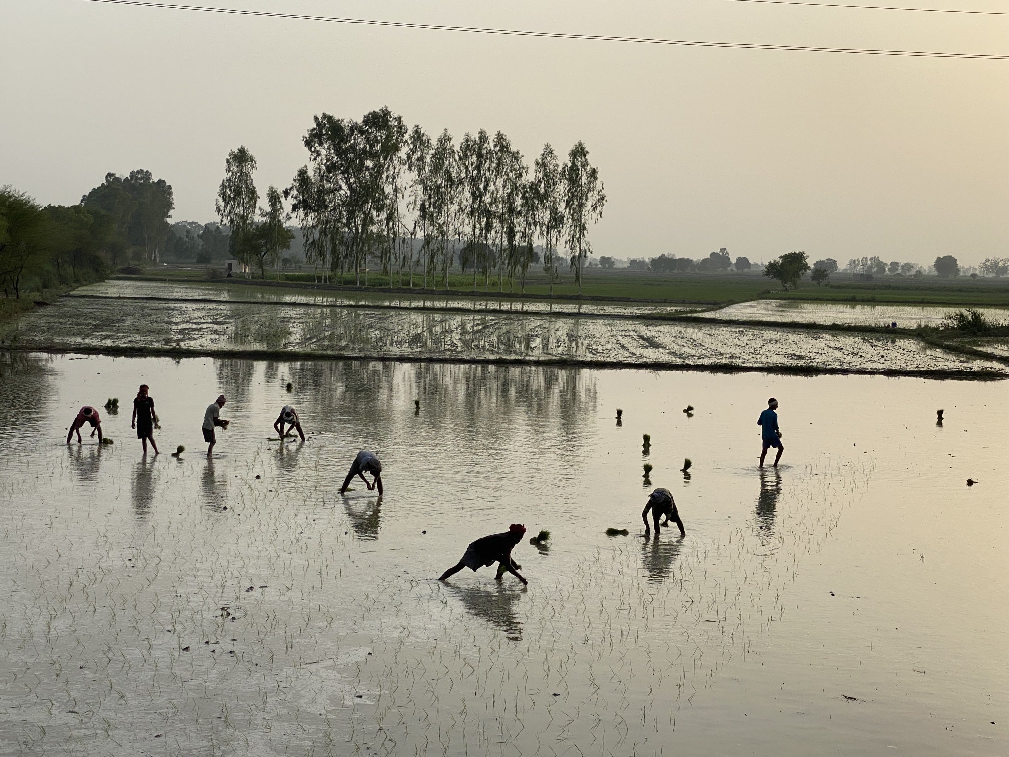 तस्वीर: शिवम् (प्रतिकात्मक)