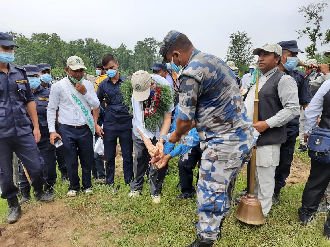 नवलपरासीमा एक घण्टा मै २० हजारभन्दा धेरै बिरुवा रोपियो