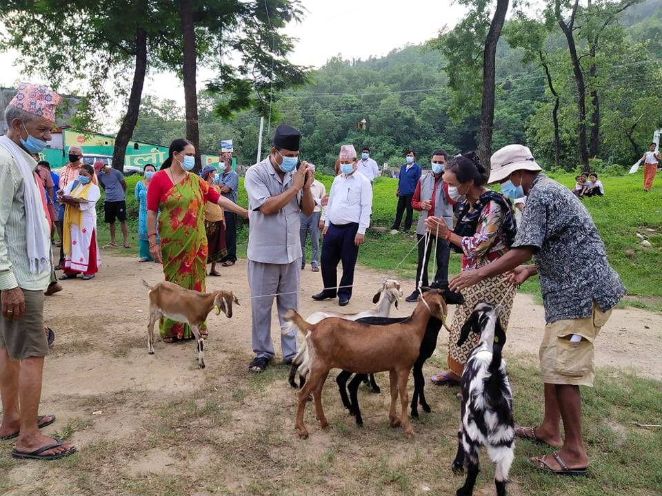 बुटवलमा विपन्न परिवारलाई बाख्रा वितरण
