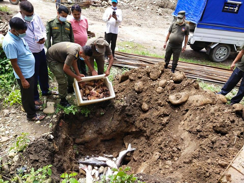 बुटवलका मासु पसलमा भेटिए सडेका माछा मासु,  नियन्त्रणमा लिई नष्ट
