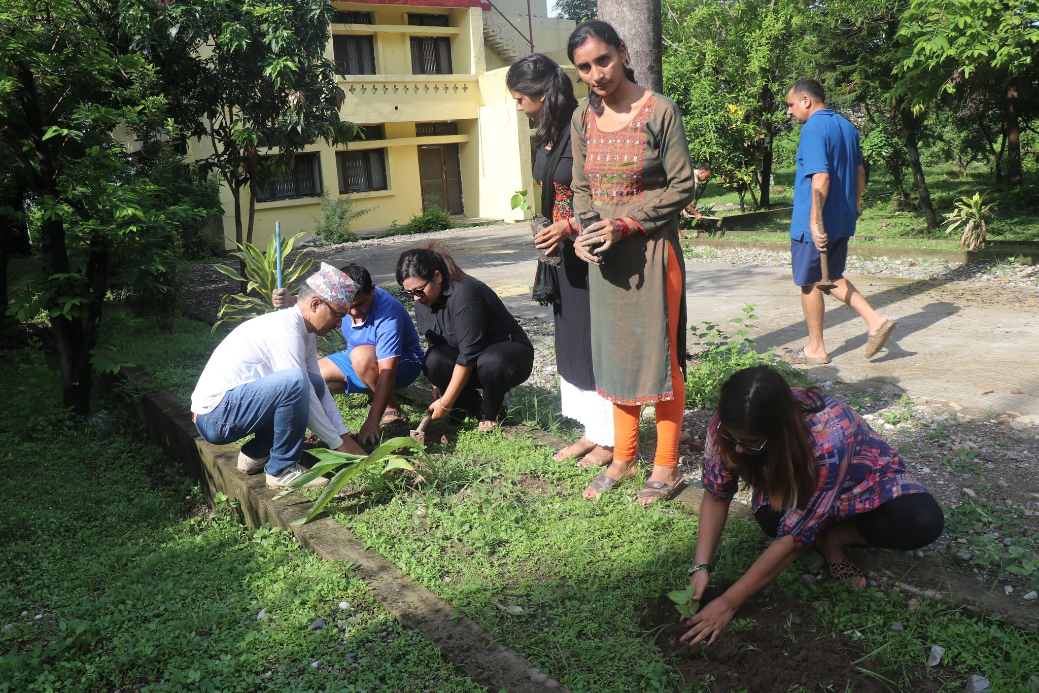 वातावरण संरक्षणको सन्देश दिन विद्युत प्राधिकरणको प्रादेशिक कार्यालयमा वृक्षरोपण