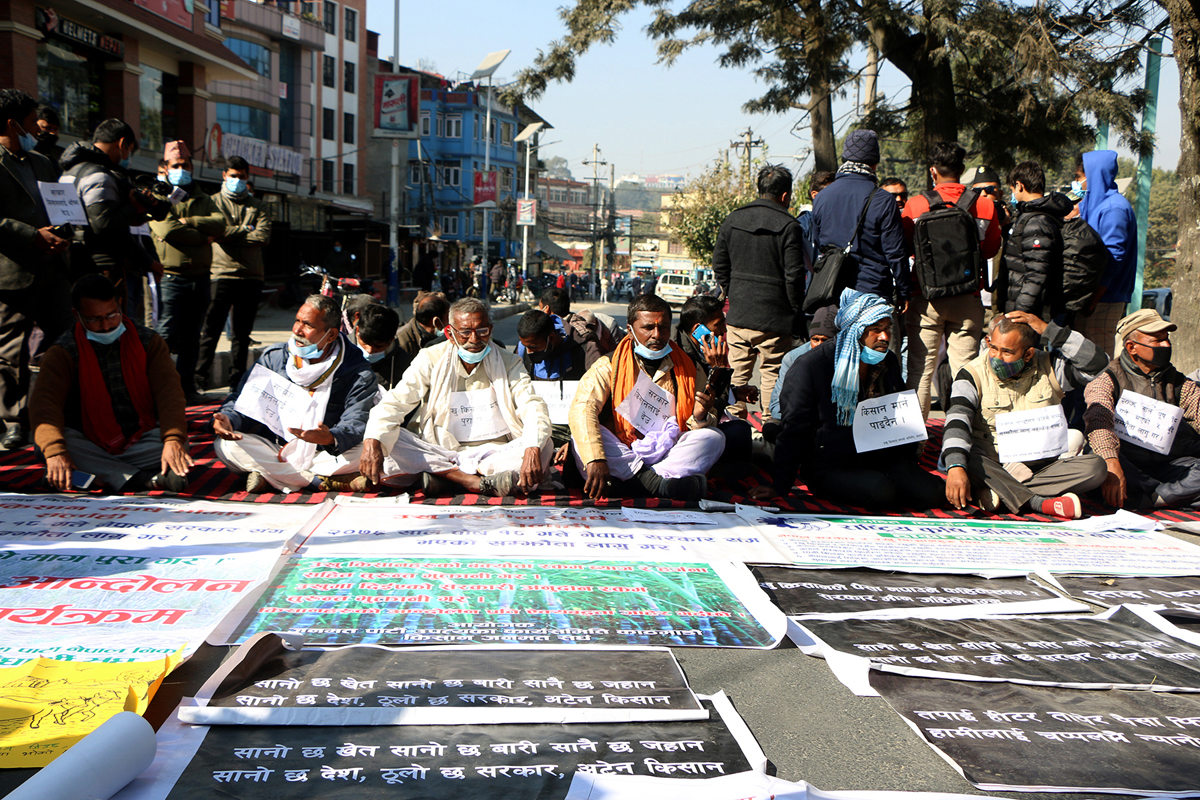 सरकारलाई उखु किसानको पत्र : बक्यौता भुक्तानी नभएसम्म घर फर्कँदैनौँ