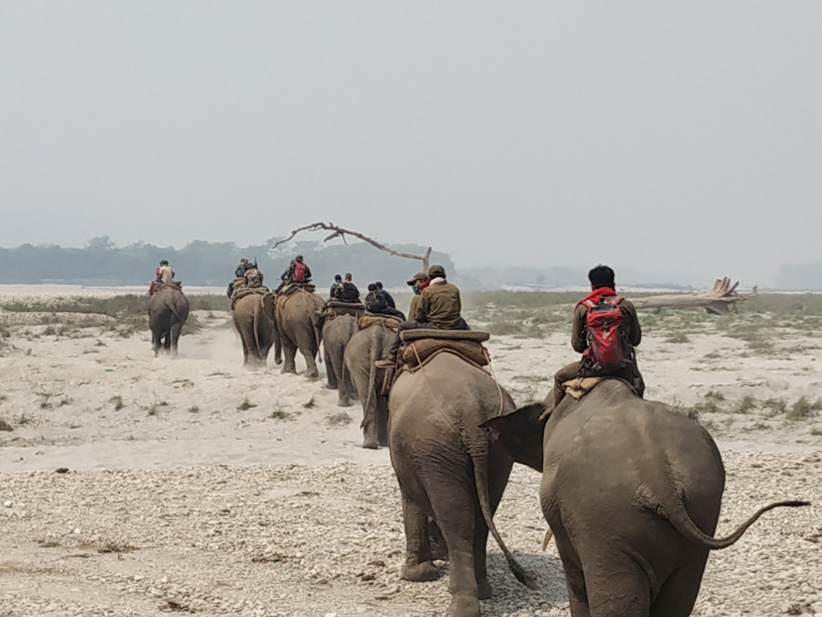 Tree plantation in Jhapa on World Elephant Day