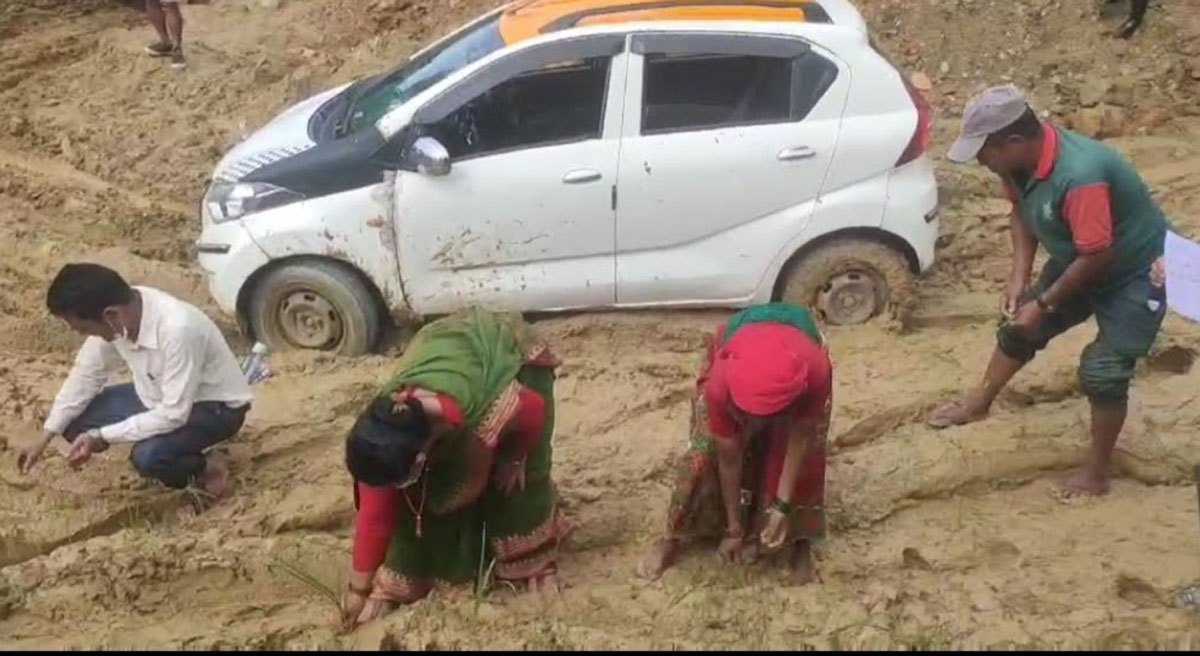 गोरखाका जनप्रतिनिधिले नै रोपे सडकमा कोदो