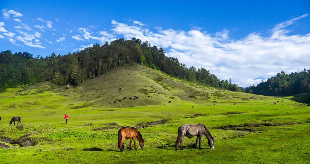 कोरोना कहर घटेपछि खप्तडमा पर्यटकको चहलपहल बढ्यो