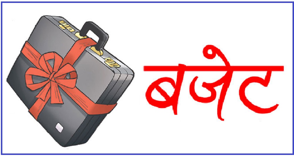 ४२ स्थानीय तहले ल्याएनन् बजेट