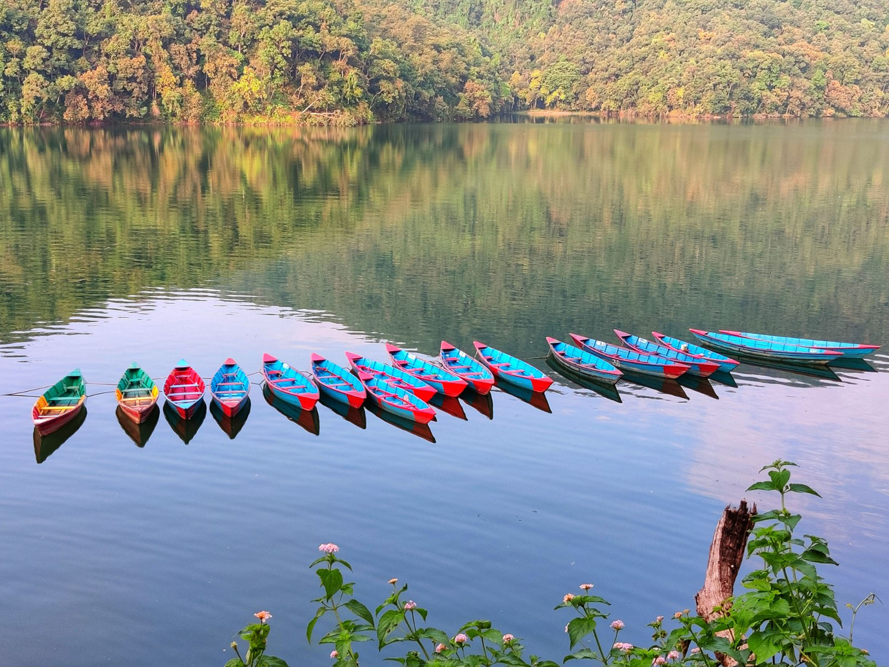 पर्यटकीय नगरी पोखरामा अवस्थित फेवातालमा निषेधाज्ञाका कारण हाल सञ्चालन नभएका डुङ्गा । तस्वीरः राधिका कँडेल, रासस