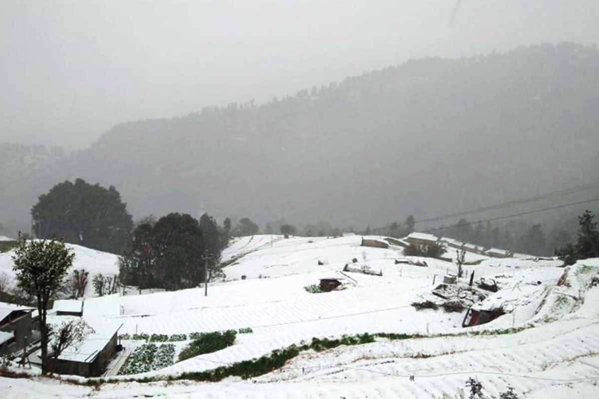 वर्षा र हिमपात भएपछि कृषक खुशी