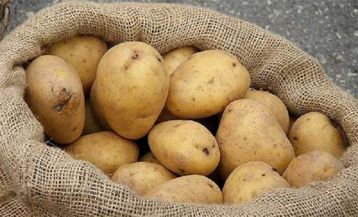 गुल्मीको आलु ब्राण्डिङ्ग गरिँदै