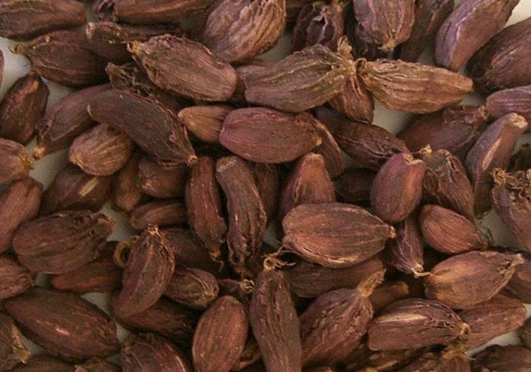 अलैँचीको भाउ पाएपछि किसान मक्ख
