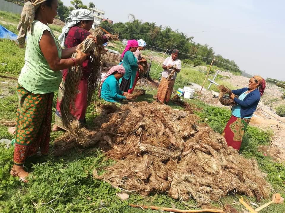 अल्लो उद्योग सङ्कटमा