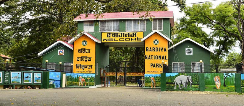 गैंडाको आक्रमणबाट बर्दियामा टुरिस्ट गाइडको मृत्यु, विदेशी पर्यटक घाइते