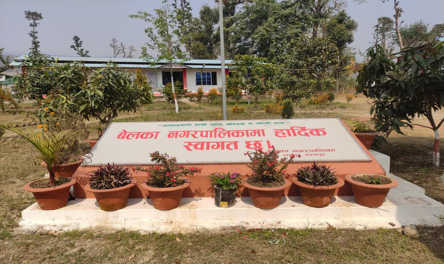 प्रधानमन्त्री रोगजार कार्यक्रममा किर्ते बिल बनाएर भ्रष्ट्राचार