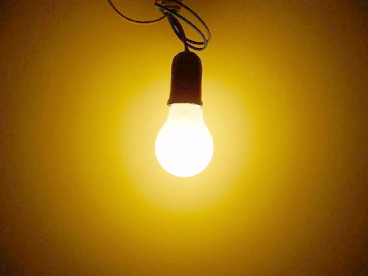 Electricity generated with poultry waste