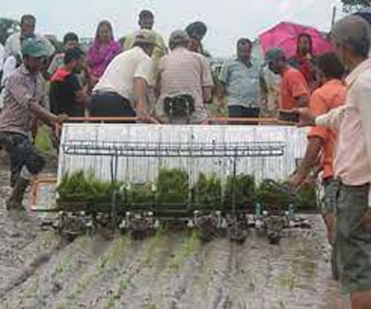 जिल्लामै पहिलोपटक चार चक्के मेशिनबाट धान रोपाइँ