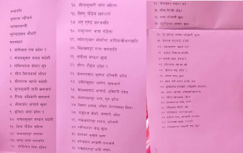 कांग्रेस महाधिवेशन : ४९१ जना चुनावी मैदानमा 
