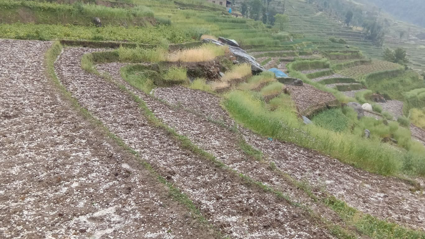 बाँझो