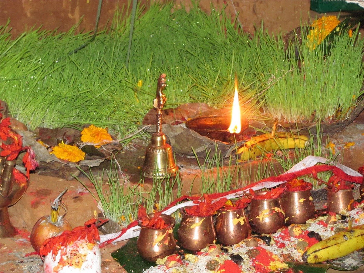 आज फूलपाती, शुभ साइतको प्रतीक फूलपाती भित्र्याइँदै