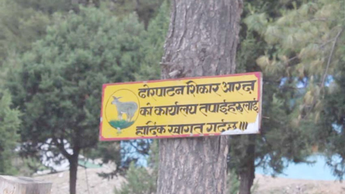 अलपत्र परेको ढोरपाटन शिकार आरक्षदेखि घुम्टे लेक
