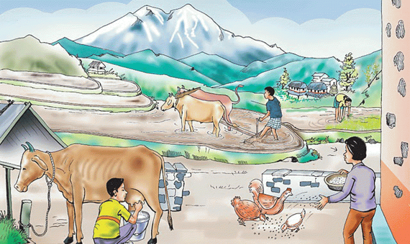 कोरोनाकालमा खुलेको उद्यमको बाटो