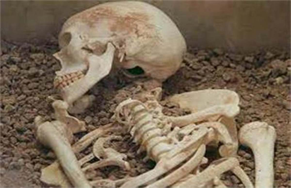 ओछ्यानसहित बेपत्ता भएका झा दम्पतीको कङ्काल मात्र भेटियो