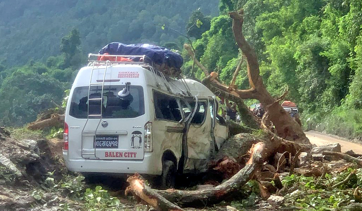 गुडिरहेको माइक्रो बसमाथि रुख ढल्दा ९ जना यात्रु घाइते