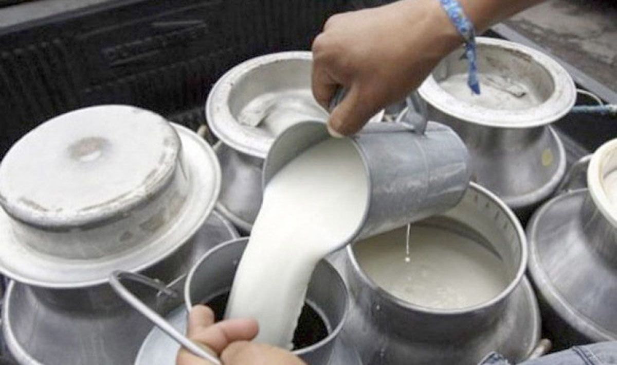 दूधको मूल्यवृद्धि फिर्ता
