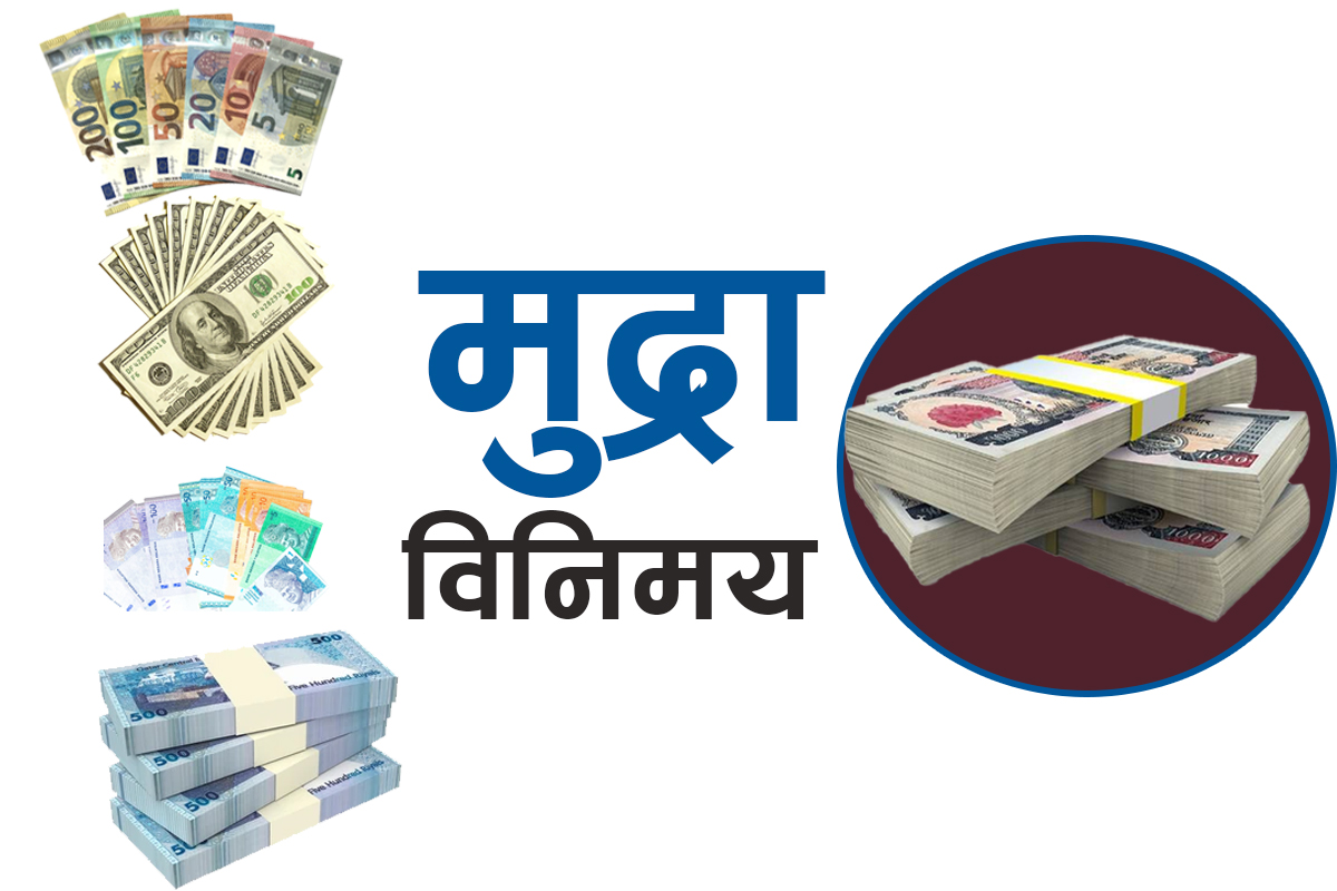आरएमडीसीले घोषणा गर्‍याे २५ प्रतिशत लाभांश