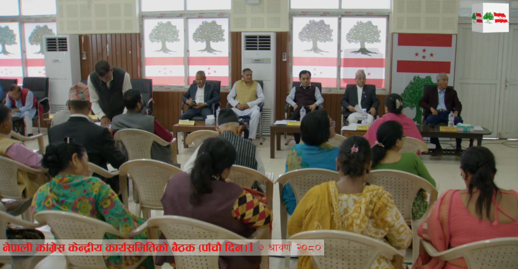 काँग्रेस केन्द्रीय कार्यसमिति बैठकमा २५ सदस्यले राखे धारणा